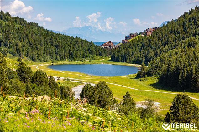 V7 - Promenade confort : Réserve naturelle du Plan de Tuéda - Sylvain Aymoz - Méribel Tourisme