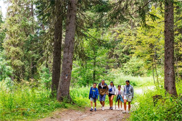 Sentier piéton - R8 - Creux Loup  Départ de l'Altiport - ©Sylvain Aymoz