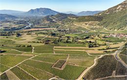 Vignobles de Jongieux - OT Yenne