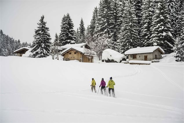Arrivée au village de Chollière - Stef Candé