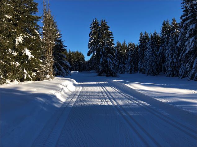 Piste de ski de fond de Lachat - Maxime Ballet