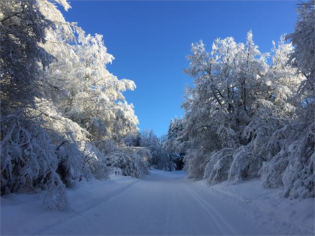 Montée de Pré Brachet en ski de fond depuis les Plans d'Hotonnes - © M. Ballet