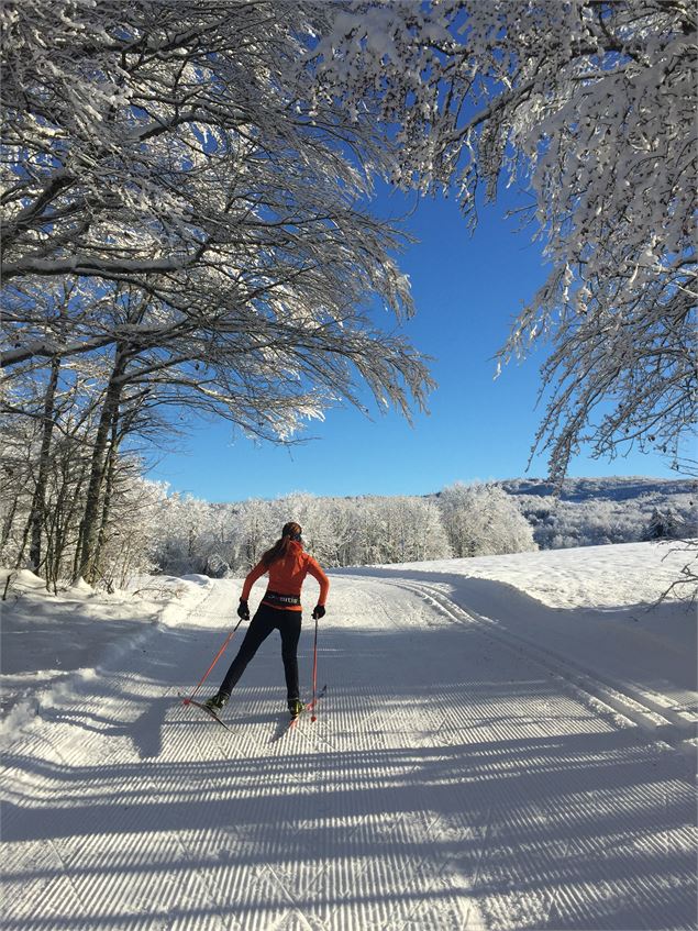 Montée de la Tour en ski de fond depuis les Plans d'Hotonnes - © M.Ballet