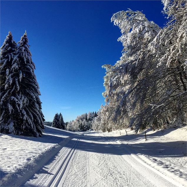 Ski de fond dans la combe de la Cuaz sur le Plateau de Retord - © Maxime Ballet