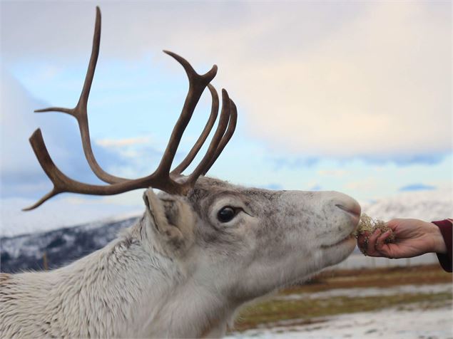 rennes 2 - ranch nordique