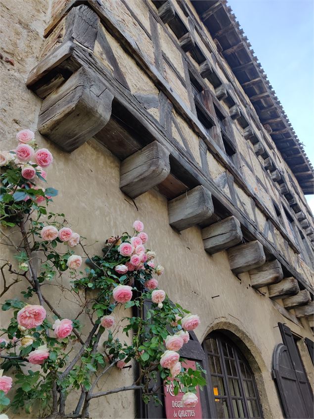 maison cazin au printemps avec les roses - Sabrina Megani