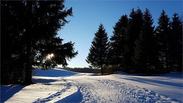 Photo de la sortie du sous-bois - Amandine et Baptiste CHOUTKOFF