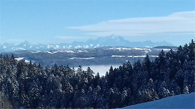 Circuit ski de fond le renon - Pascal Hanot