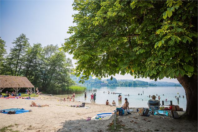 Plage d'Aiguebelette-le-Lac - C. Moureaux
