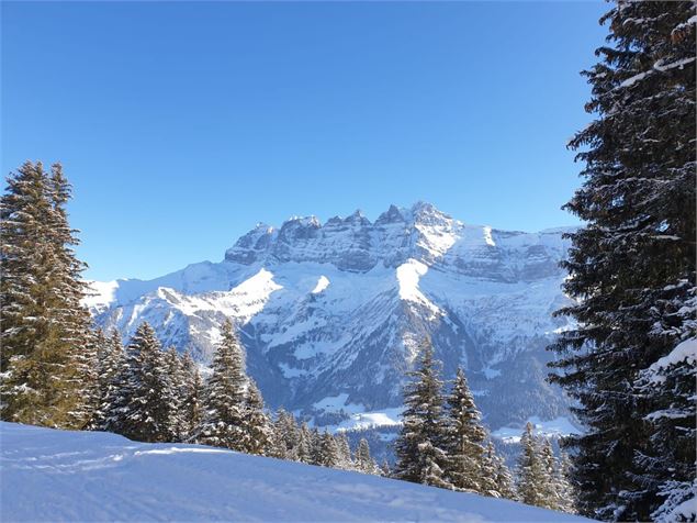 Chemin de l'Aiguille - Monique Borel