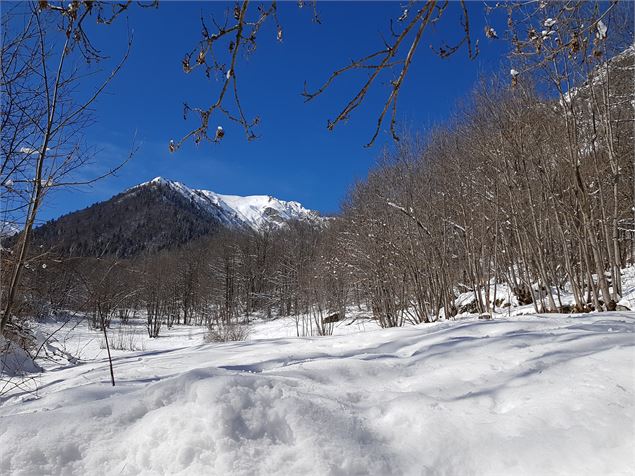 Itinéraire raquette : Le Martinan_Saint-Colomban-des-Villards - OT Espace Glandon