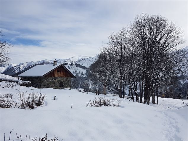 Itinéraire raquette : Mont Rond