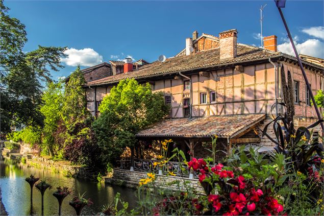 Berges de la Chalaronne - M. Zeilfelder