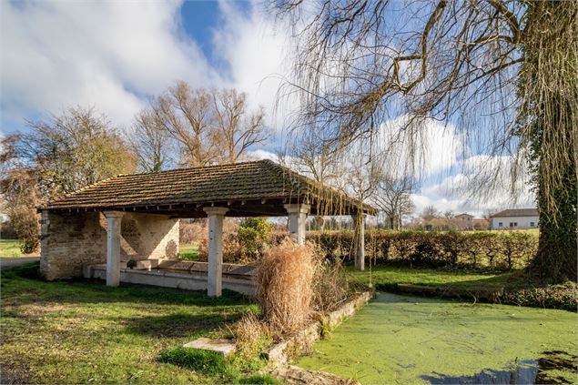 Lavoir de Condeissiat - M.Zeilfelder