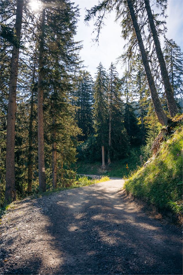 Sentier Botanique et Cascade des poux - Two Dreamers Traveling