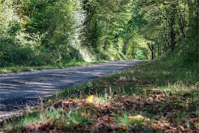 Circuit de l'étang des Vavres - Claire CURT