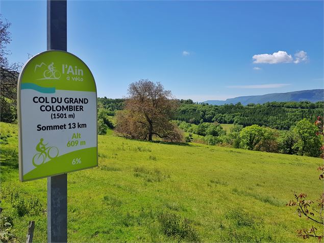 Col du Grand Colombier - E.BEBI