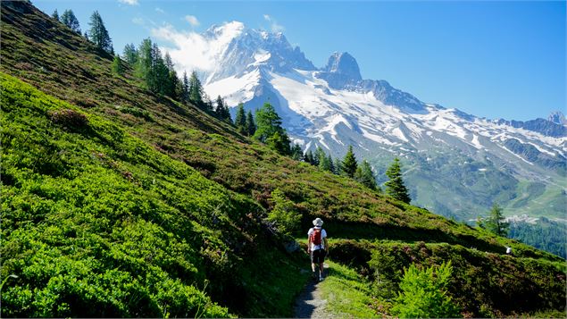 Randonnée du Péclerey_Argentière - OT Chamonix