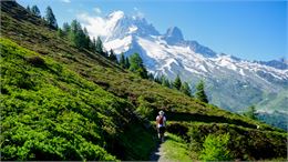Randonnée du Péclerey_Argentière - OT Chamonix