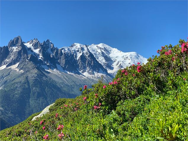 Aiguillette d'Argentière - OTVCMB