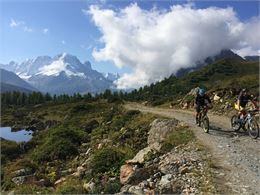 VTT