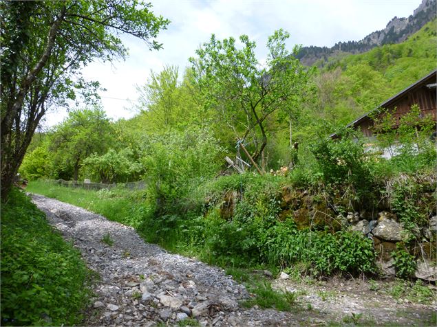 Boucle du GIffre - Praz de Lys Sommand Tourisme