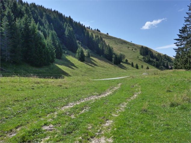 Écotrail Praz de Lys Sommand - 20 km - Praz de Lys Sommand Tourisme