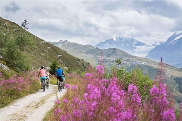 Verbier bleu - Melody Sky