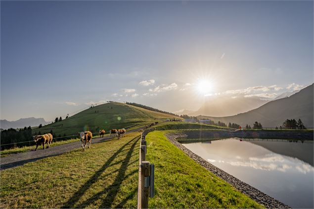 Alpage de Joux - B. Molinier