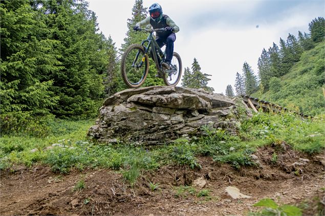 Descente rouge du Loup - Piste VTT Descente N°9