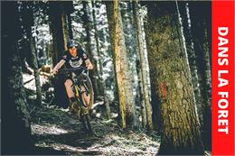 Dans la foret - Bikepark Avoriaz