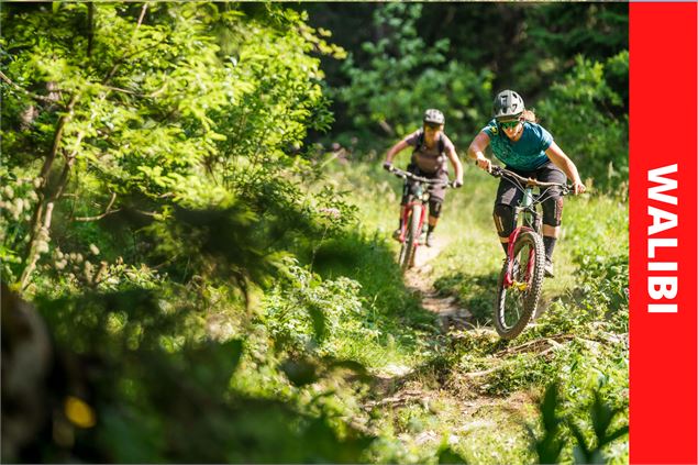 Wallibi - Bikepark Avoriaz