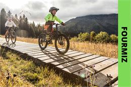 Fourmiz - Bikepark Avoriaz