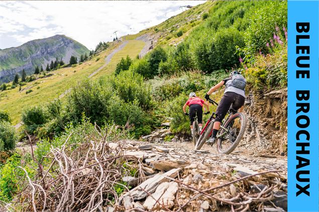 Bleue Brochaux - Bikepark Avoriaz