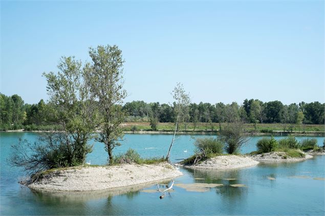 Lac de la forestière - ABI ABO Maxime Dechelette