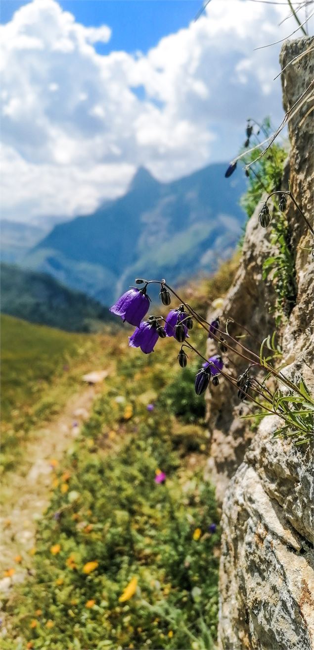 Col de l'entreporte - Maxime Richard