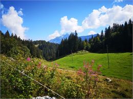 Sentier des Patriotes - Faucigny Glieres Tourisme