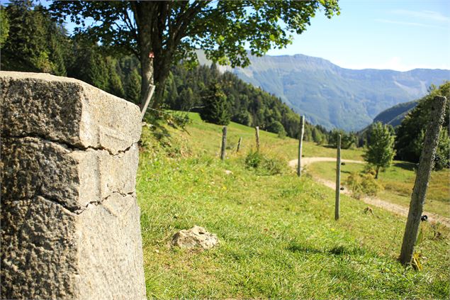 La Borne au Lion - ©Mathias Spadiliero - OT Terre Valserine