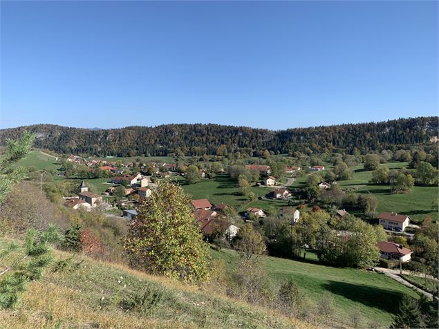 Borne du Prés Carrel depuis Apremont - M.Michel