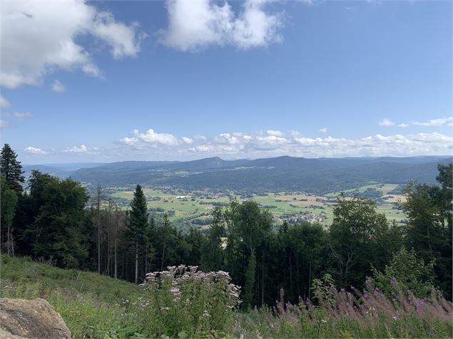 Vue panoramique - Maxime Michel