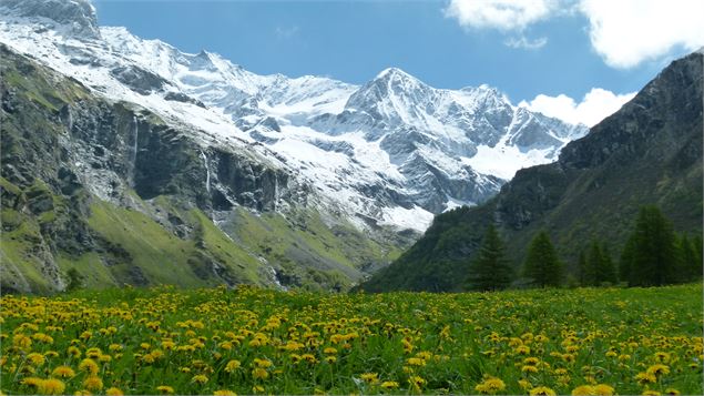 vallon de Rosuel - Emmanuelle Renou