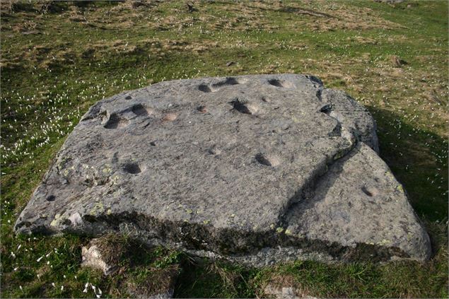 Pierres à cupules - Gilbert Bruchez