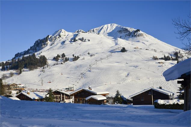 Vue sur le domaine skiable depuis le Chinaillon - D.Machet