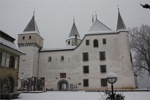 Château de Nyon - 