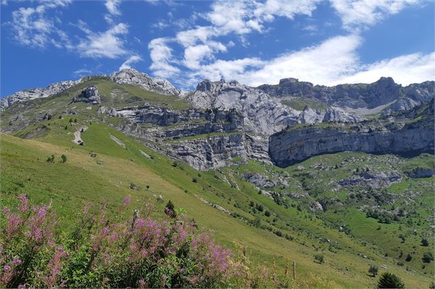 Paysage - OT Thônes Coeur des Vallées