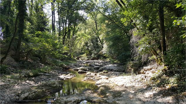 randonnee liaison gorges sierroz - Grand Lac