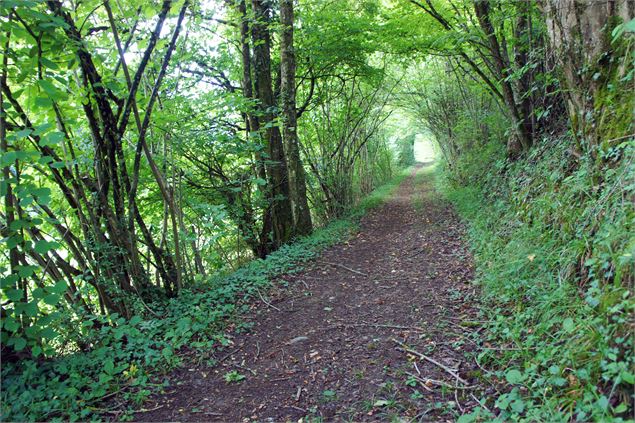 sentier Grésy-Mouxy - Grand Lac