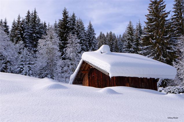 Chalet sur la boucle raquette de Cornillon - © Anthony Blondet
