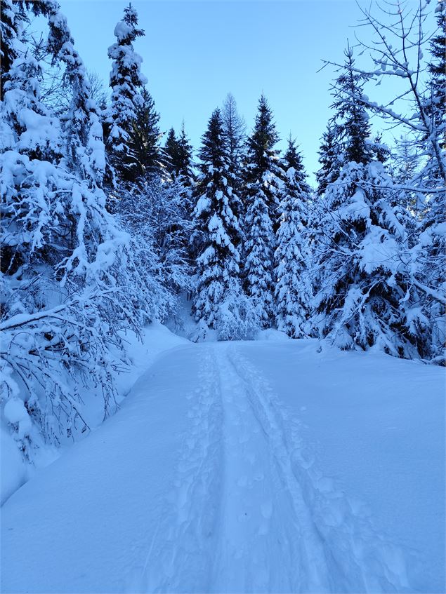 Sentier enneigé non damé en direction des Plaines - © Cordon Tourisme