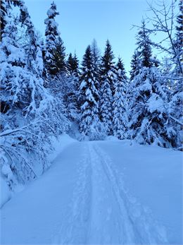 Sentier enneigé non damé en direction des Plaines - © Cordon Tourisme